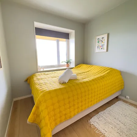 公寓 New With View In *